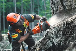 AutoTune für intelligente Motorsteuerung