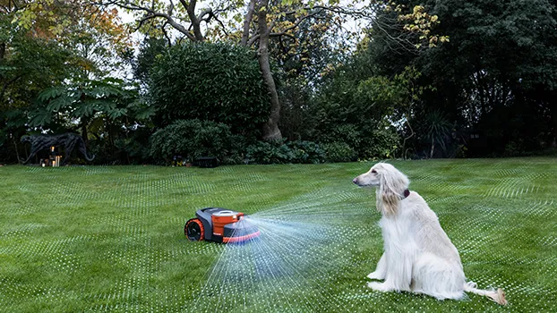 Tierfreundliche Hinderniserkennung mit Sicherheitsabstand